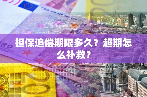 济南担保追偿期限多久？超期怎么补救？