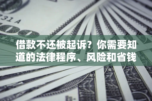 济南借款不还被起诉？你需要知道的法律程序、风险和省钱技巧
